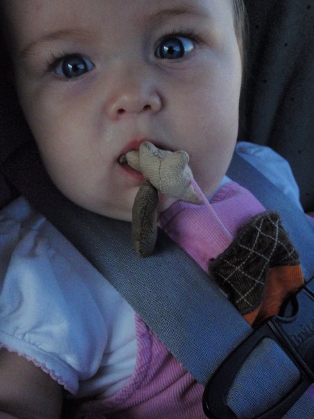 1915219_332910870452_634043_n