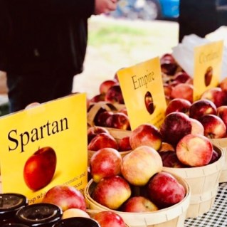 67783841_2293156590739642_804527217982832640_n